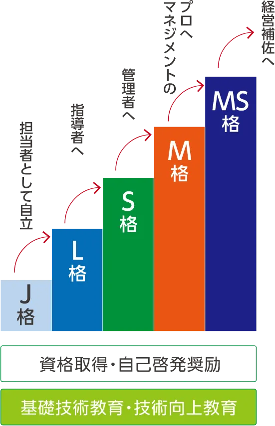 入社後のステップ