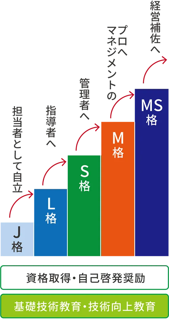 入社後のステップ